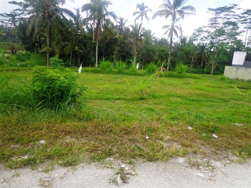 Tanah dijual di Ubud view sawah (TJUB107)