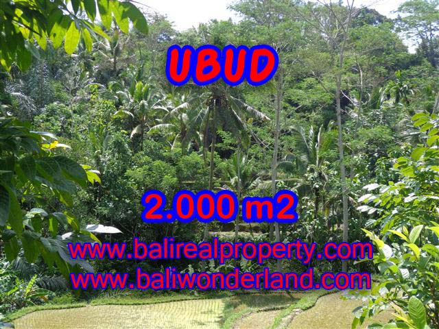 Tanah dijual murah di Ubud Bali