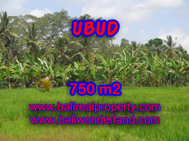 Tanah dijual di Ubud Bali 750 m2 sawah dan hutan di Dekat sentral Ubud