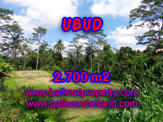 Jual tanah di Bali 2.700 m2 view sawah dan hutan di Ubud Tampak Siring