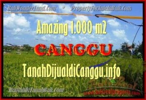 JUAL TANAH di CANGGU 1.000 m2 di Canggu Kayutulang