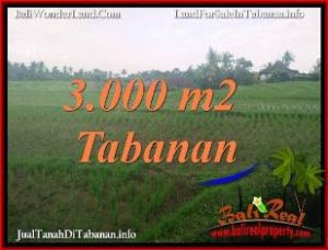 DIJUAL MURAH TANAH di TABANAN 3,000 m2 di TABANAN SELEMADEG