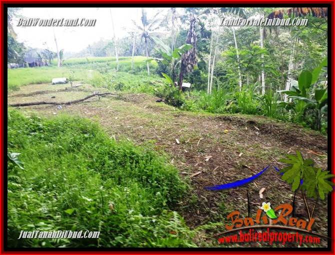 JUAL Murah Tanah di Ubud Bali 60 Are View sawah dan sungai