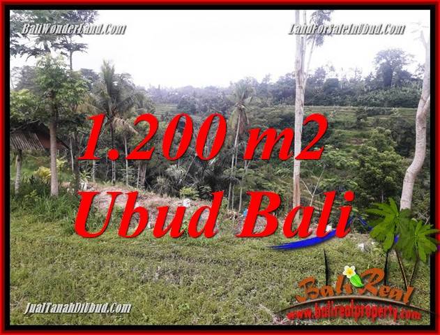 Tanah di Ubud Bali Dijual 12 Are di Ubud Tegalalang