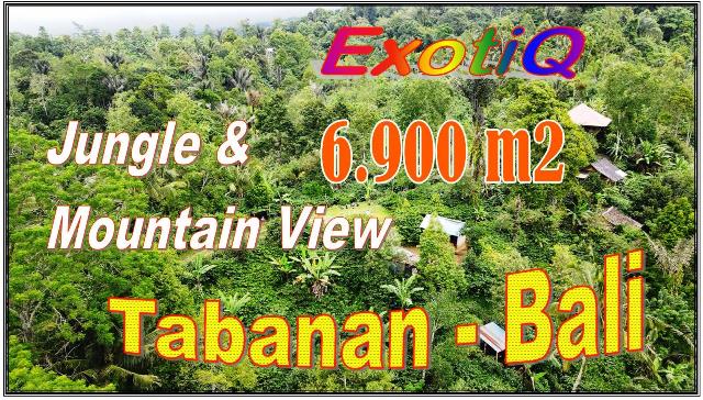 TANAH MURAH JUAL di TABANAN 69 Are View Hutan dan Gunung