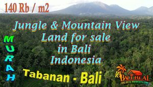 JUAL TANAH DI TABANAN BALI 129.8 Are View Hutan, Gunung dan Sungai