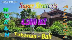 Murah Strategis! Tanah dijual dekat Kota Tabanan Gratis Bangunan ex Puri TJTB820